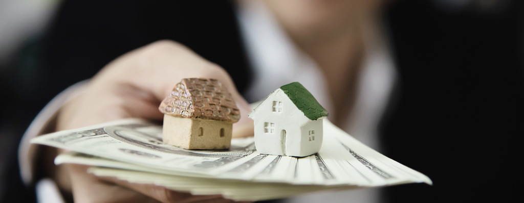 July Insights: Property and Finance